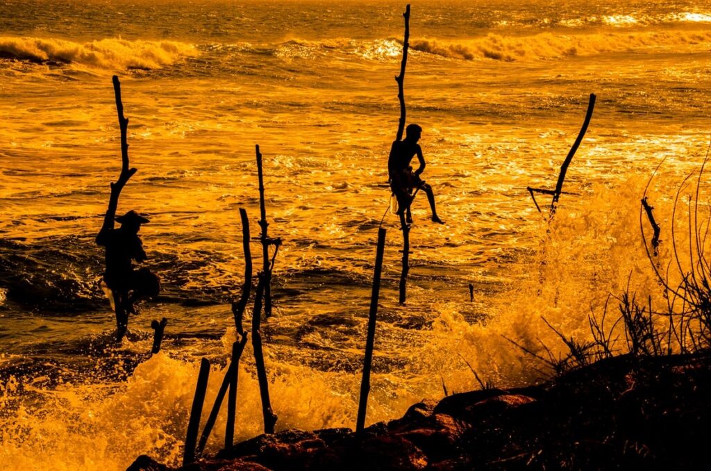 Ланкийские рыбаки ловят рыбу со специальных жёрдочек