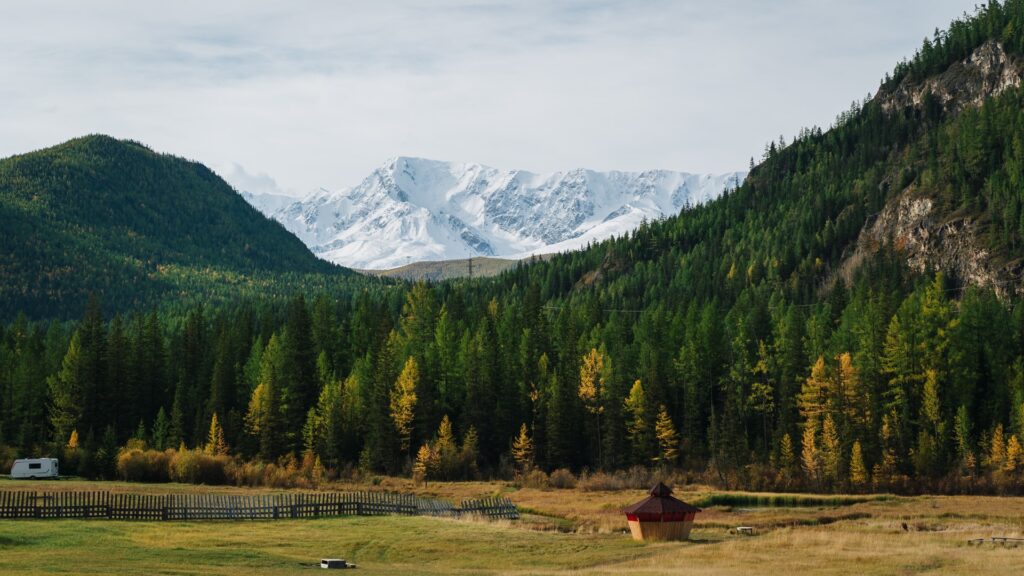 республика Алтай горы и лес