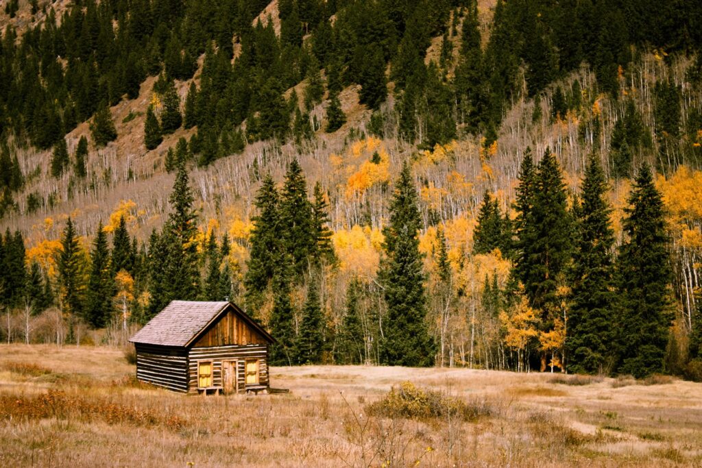 Деревянный домик на фоне осенней горы