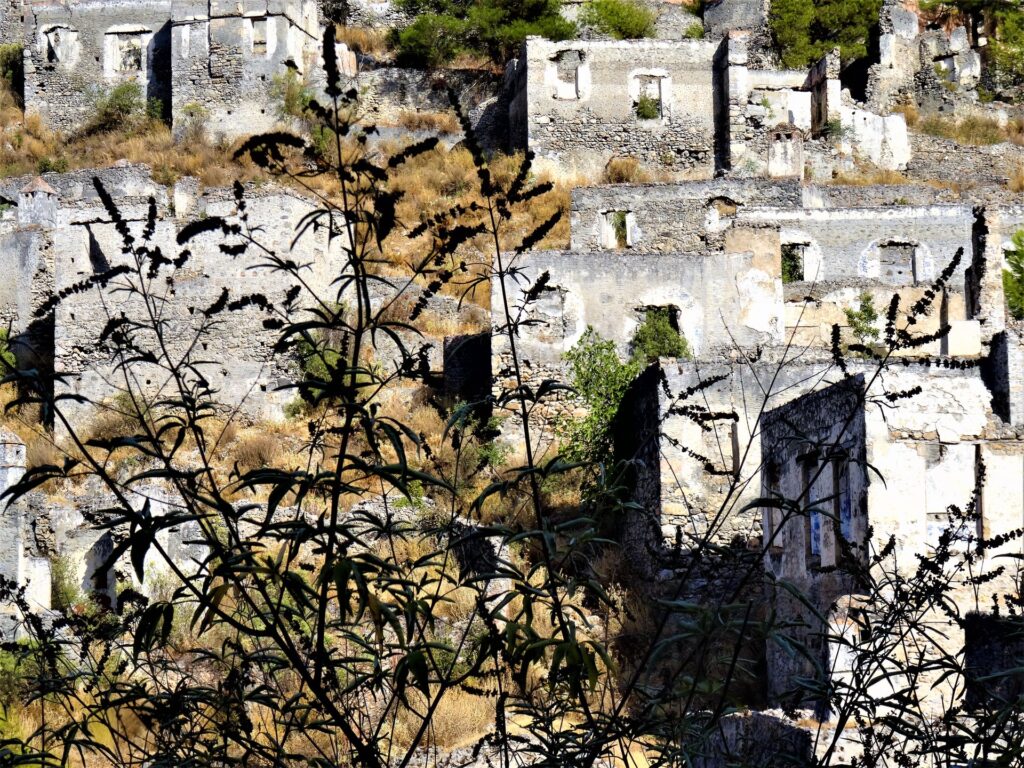 Каменные руины на фоне тростника