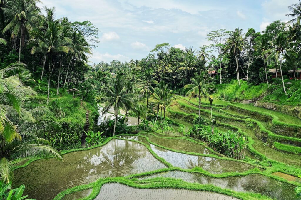 Бали: самые интересные места