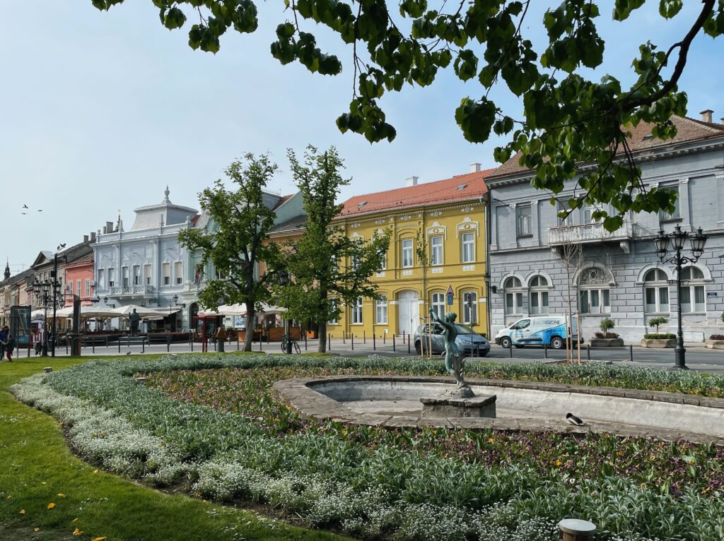 Парк и улица в Нови-Саде